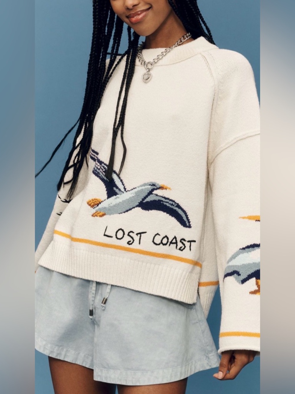 Anthropologie Pilcro Lost Coast Sweater NWT Long Sleeve Crew Neck Coastal S